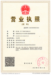 Honor 2
